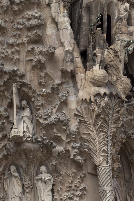 GAUDI20