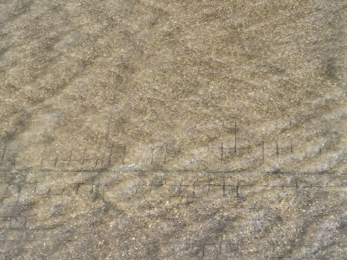 photo1634494098 (2)
