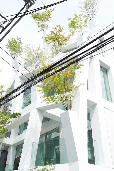 Omotesando-Branches_8267small