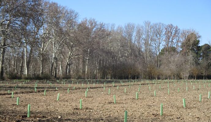 IMG_6083-770x447