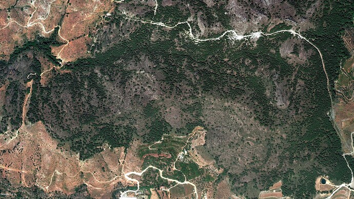 Guajares_2010