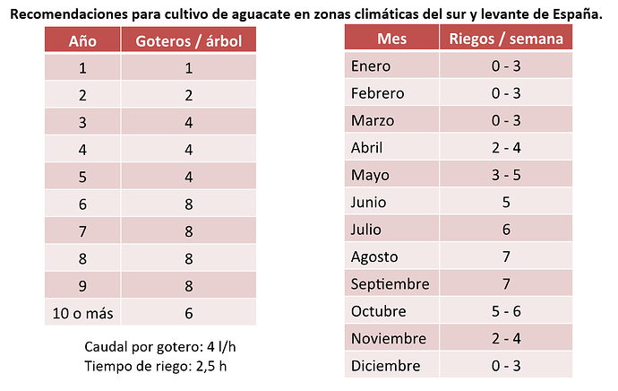 Recomendaciones-para-cultivo-de-aguacate-en-zonas-climáticas-del-sur-y-levante-de-España