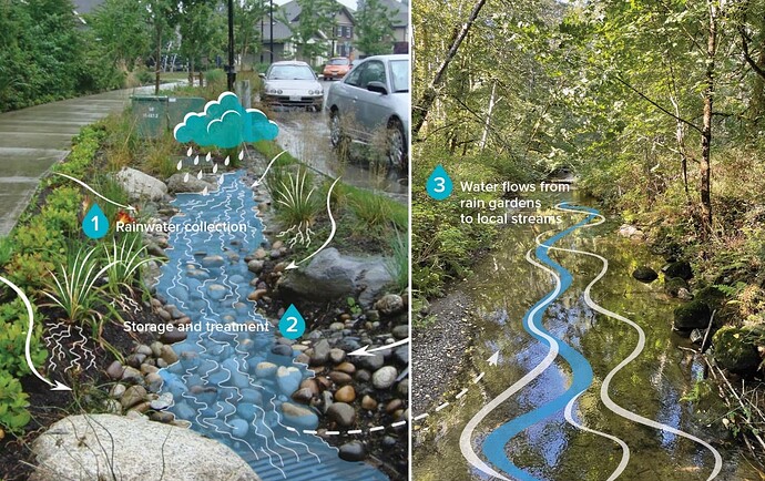 rain-gardens-22