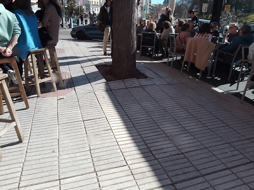 rosales 1 pixelizado