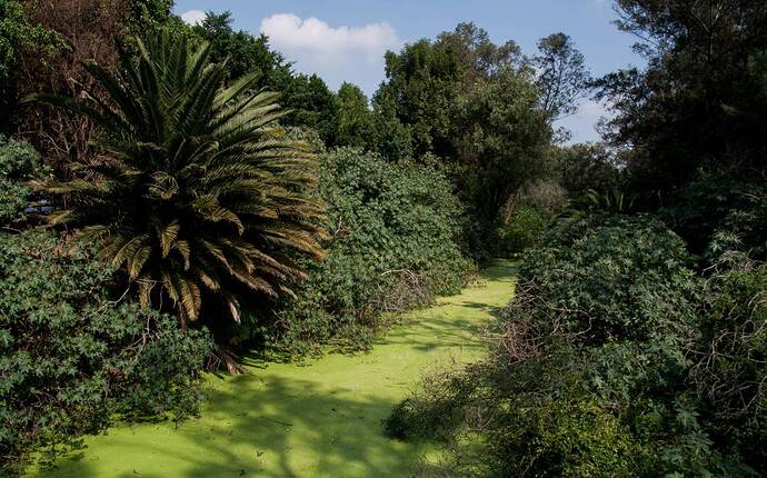 canal nacional cdmx CUARTOSCURO
