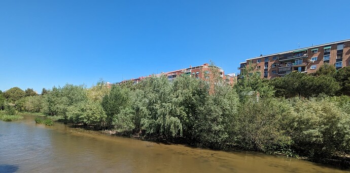 PXL_20240416_124644229