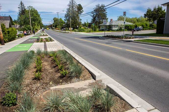 5th-St-Complete-St-raingarden