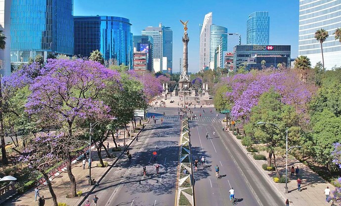 paisaje-cdmx-angel-de-la-independencia-paseo-de-la-reforma-ciudad-jacarandas-LC (1)