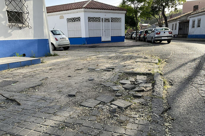 Azucena 2