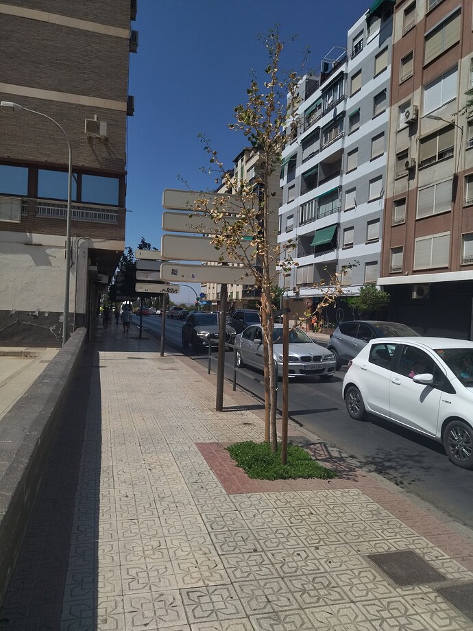 IMG_20220816_130649