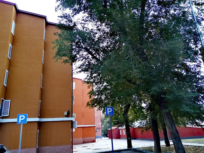 IMG_20260524_205249