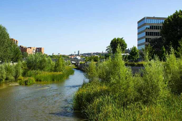 Rio_Manzanares
