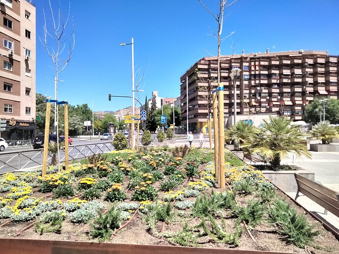 IMG20230423144850