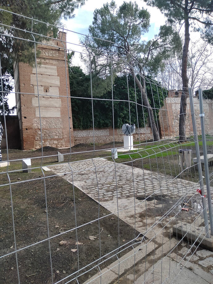 IMG20260212135117