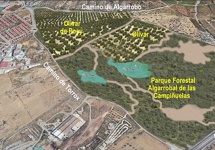 parquevelez-ROU1J6Jokom6dVjDaNRNlAJ-1200x840@Diario Sur