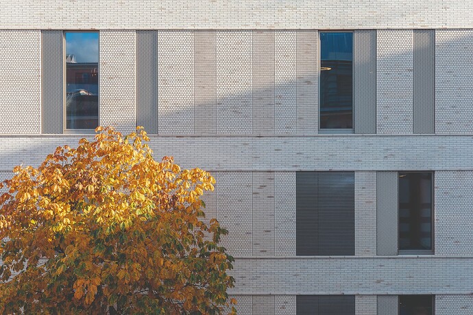 walther-meissner-bau-fassade-baum