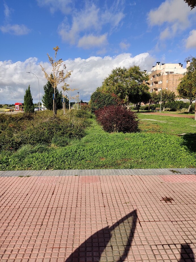 IMG_20231102_130936