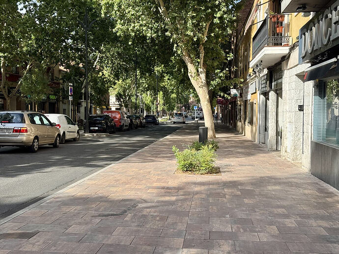 Avenida de Guadalajara 10