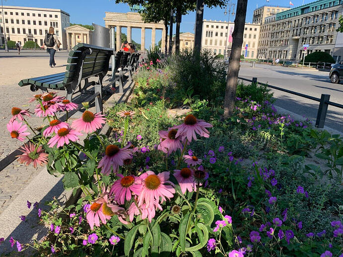 01-referenzflaeche-adlon