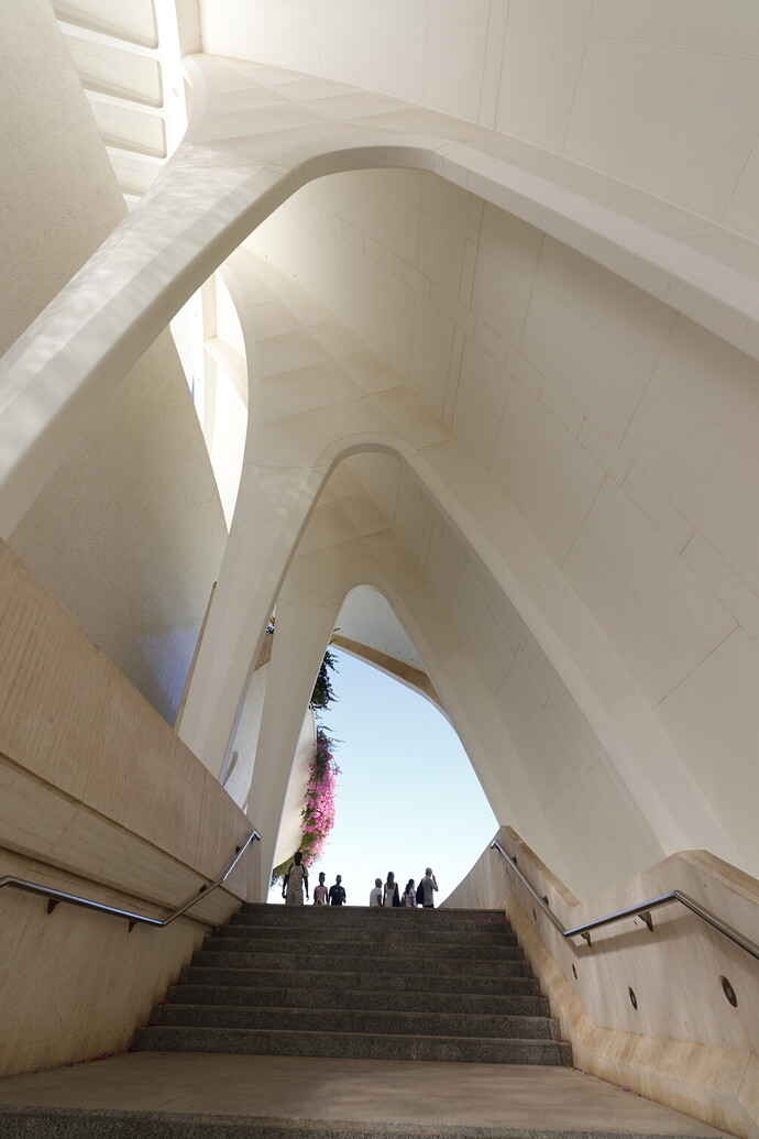 PALAUARTS05113-09 - 2026