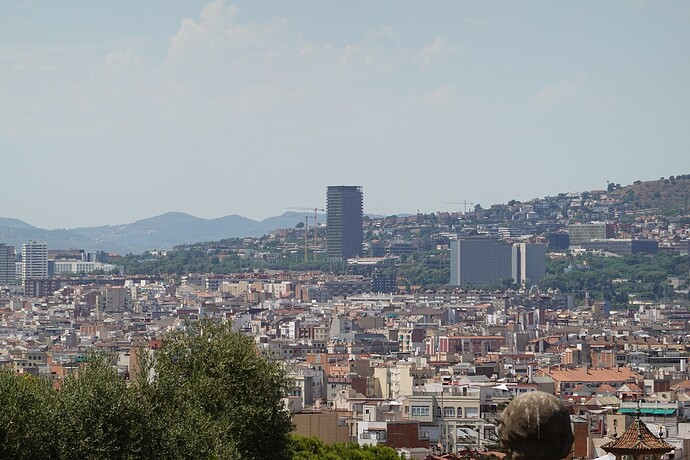 La primera de las dos torres de Porta Diagonal ya terminada. Empieza a crecer la vegetación de la fachada