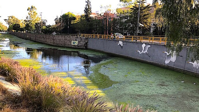 canal_nacional_16