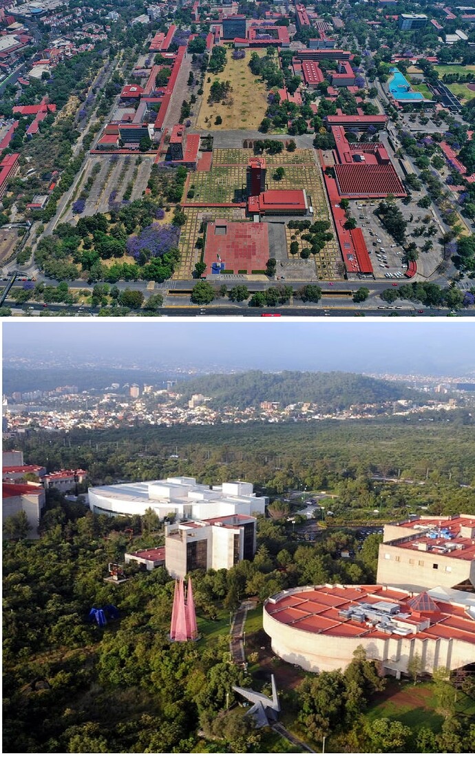 Actividad-en-la-UNAM