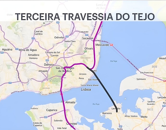 1000013346