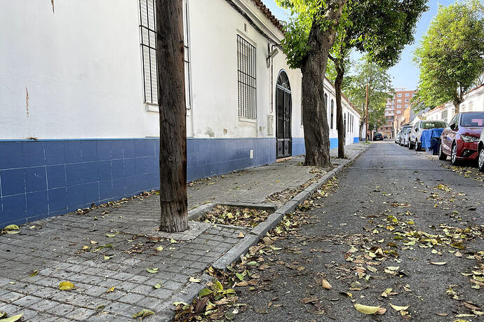 Azucena 3