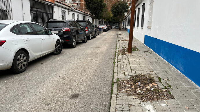 Azucena