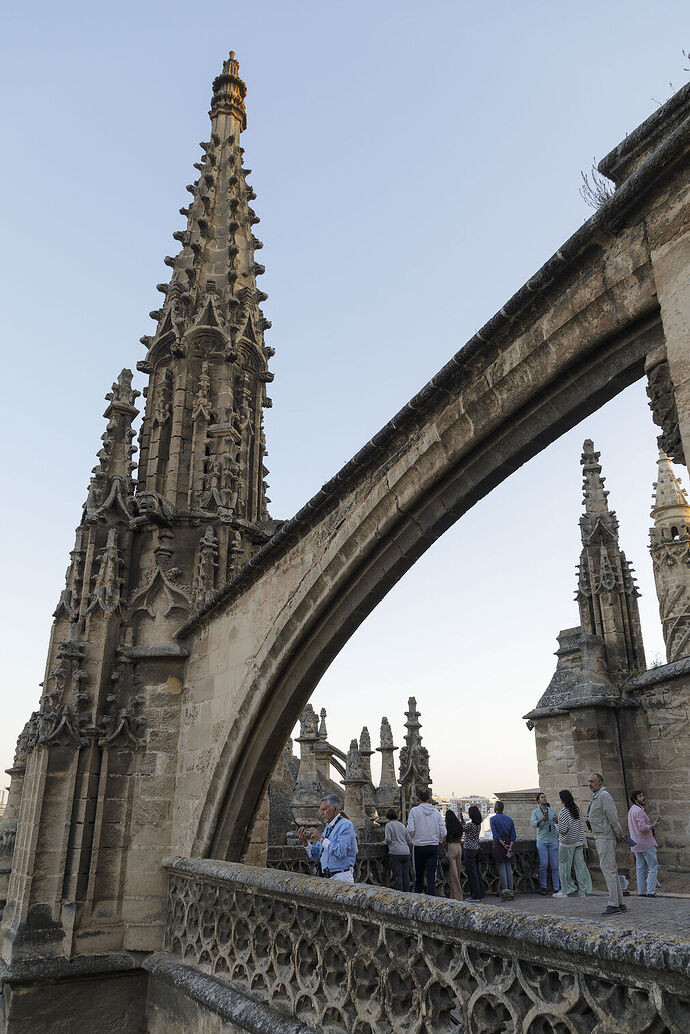 Recorrido-cubiertas-Catedral-Sevilla-atardecer_1905419659_213113192_1011x1517