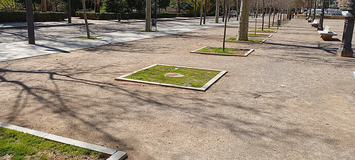 1000049450