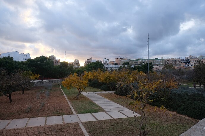 DSCF3130