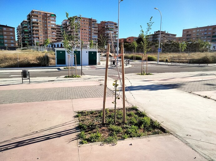 IMG20230426092033