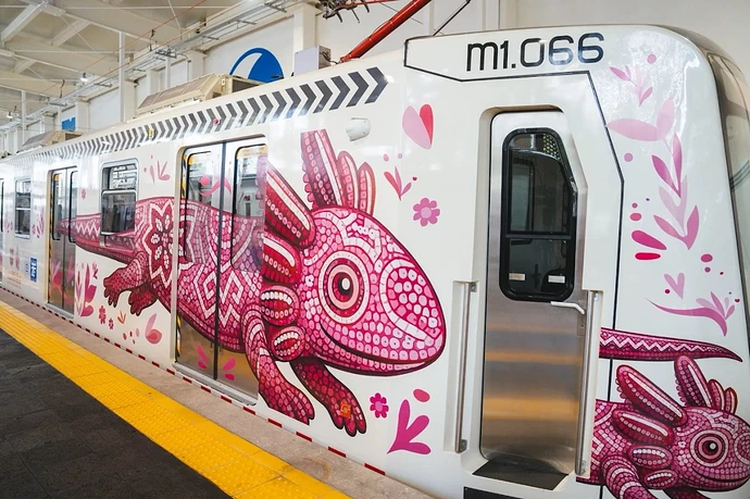 inauguran-en-cdmx-el-tren-ligero-el-ajolote_7039dd05-342f-4c8b-aa6d-68d196f1b999_medialjnimgndimage=fullsize