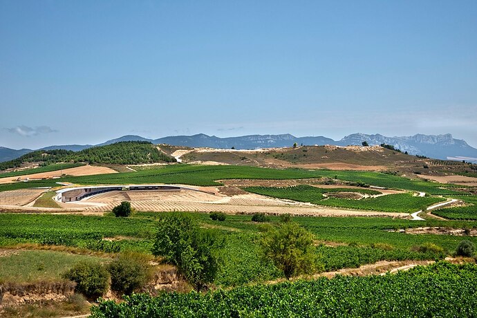 metalocus_bodega-beronia-rioja_idom_01