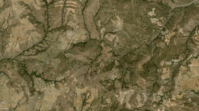 Murtas_2005