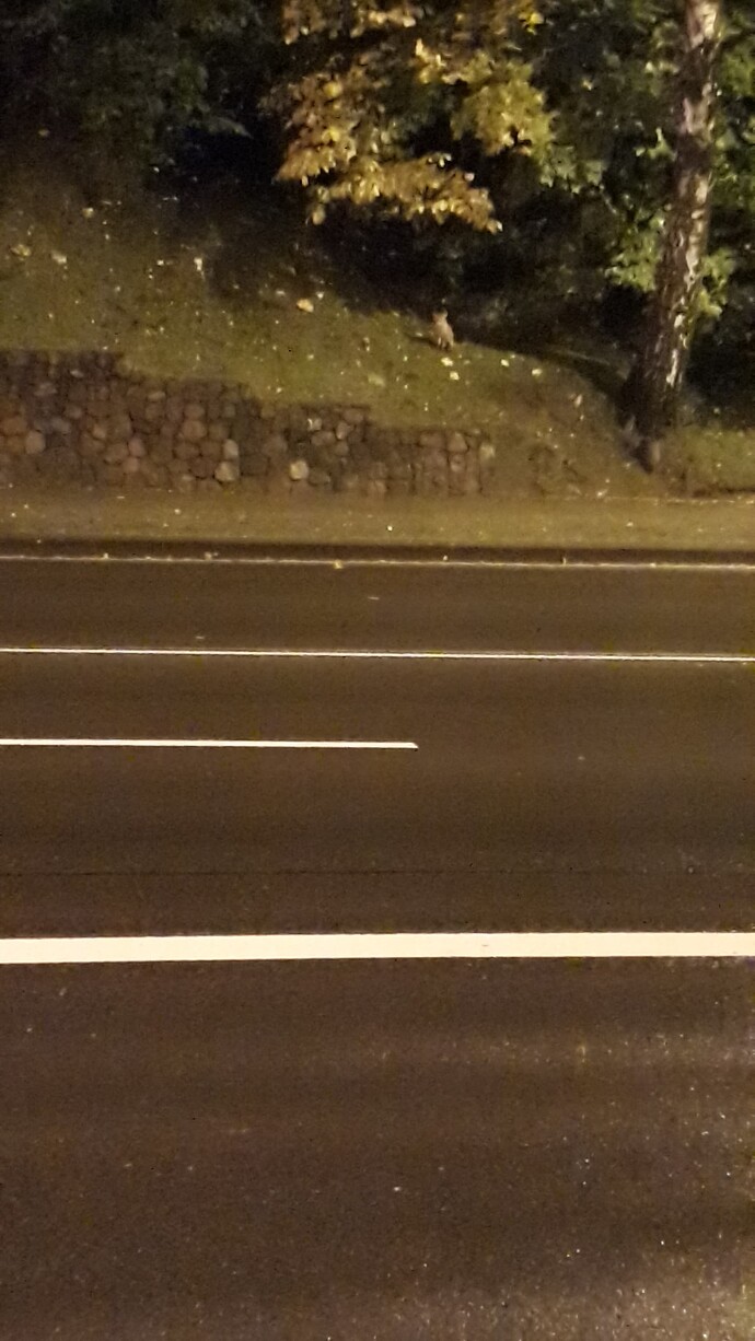 20171011_222856