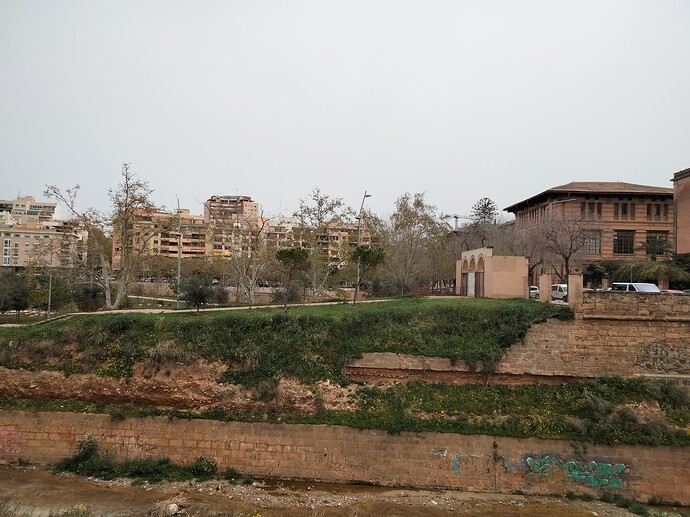 IMG20240324125637