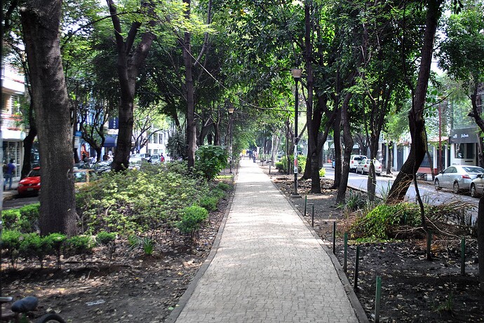 Avenida_Amsterdam_-_Colonia_Condesa_2