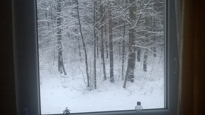 WP_20170115_001