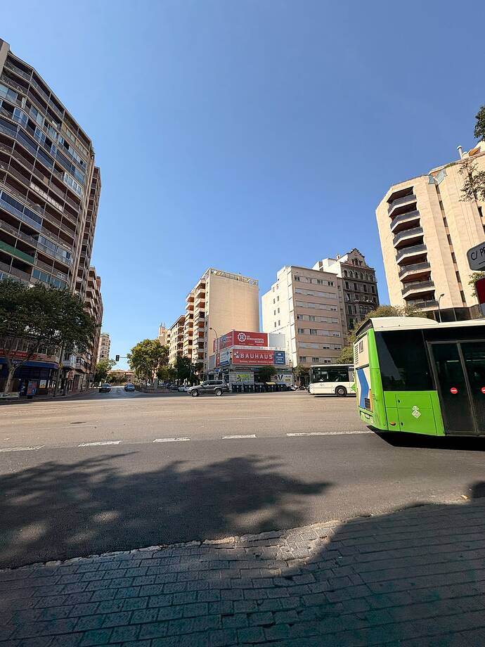 PALMA (8)