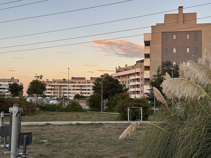 Jardín de Cervantes (Fases 1, 2 y 3)