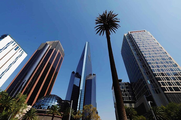 reforma_palma_1