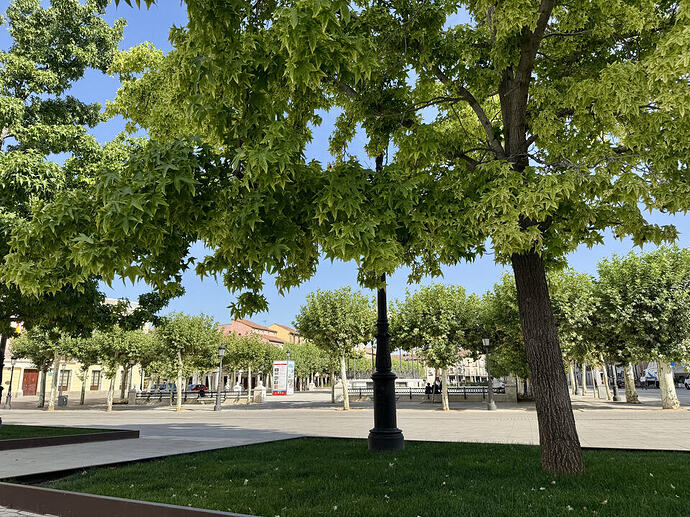 Plaza de Cervantes 7