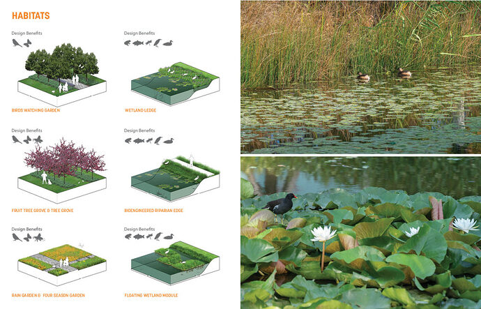 15-Ecological-Overlay-of-the-Design-1000x643