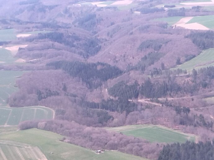 photo1649933147