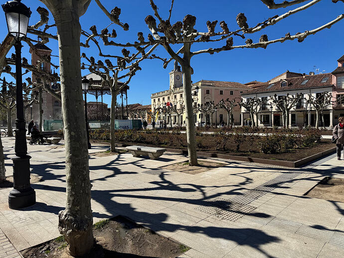 Plaza de Cervantes 3