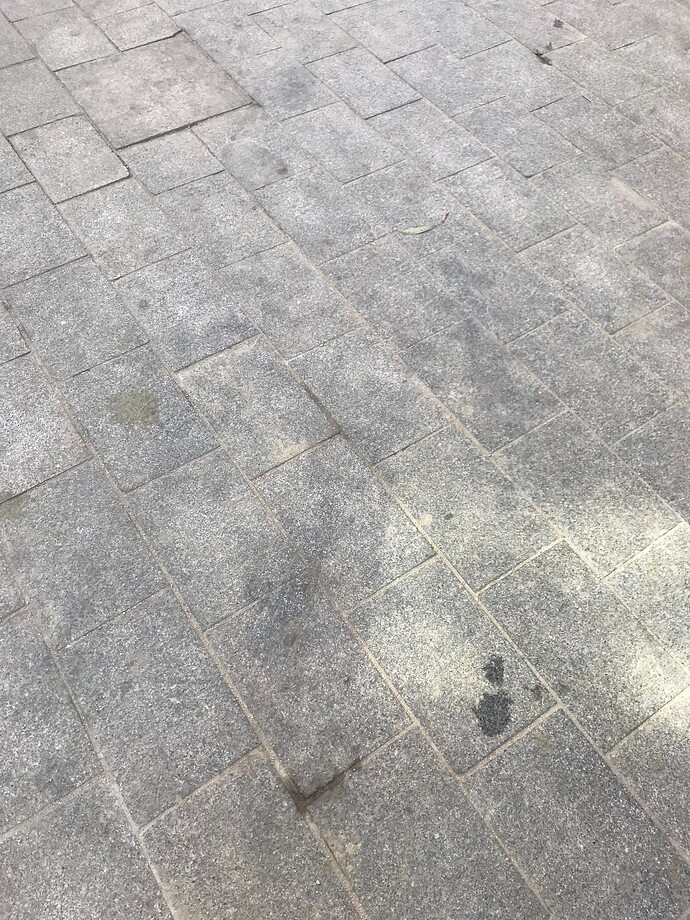 image00081