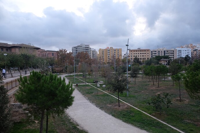DSCF3115